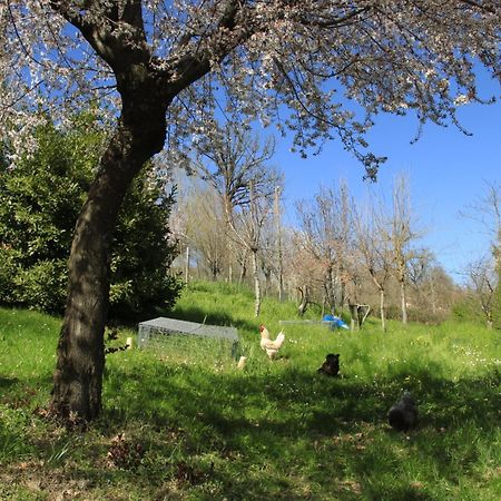 B&B Ride Appennino Montefiorino ภายนอก รูปภาพ